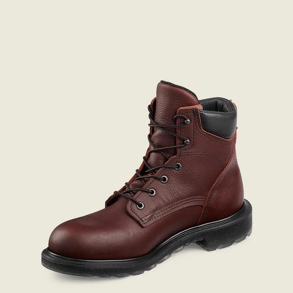 Red Wing SuperSole 2.0 6-inch Safety Toe Boot Men's Work Boots Brown | 5246NKCFU