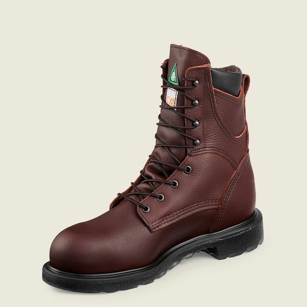 Red Wing SuperSole 2.0 8-inch Waterproof CSA Safety Toe Boot Men's Work Boots Brown | 3786DJWIK