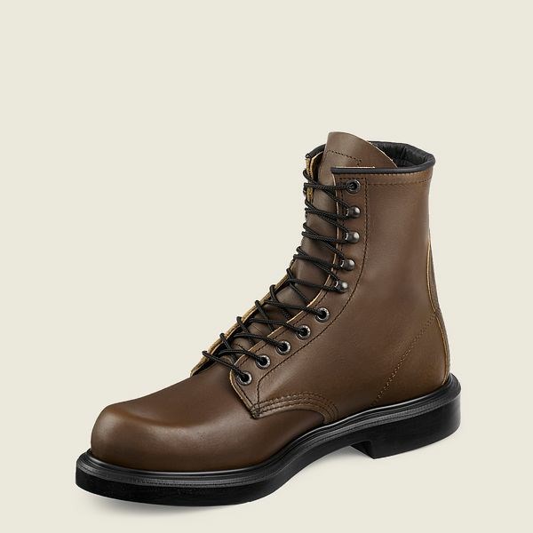 Red Wing SuperSole 8-inch Soft Toe Boot Men's Work Boots Brown | 6532WJXKP